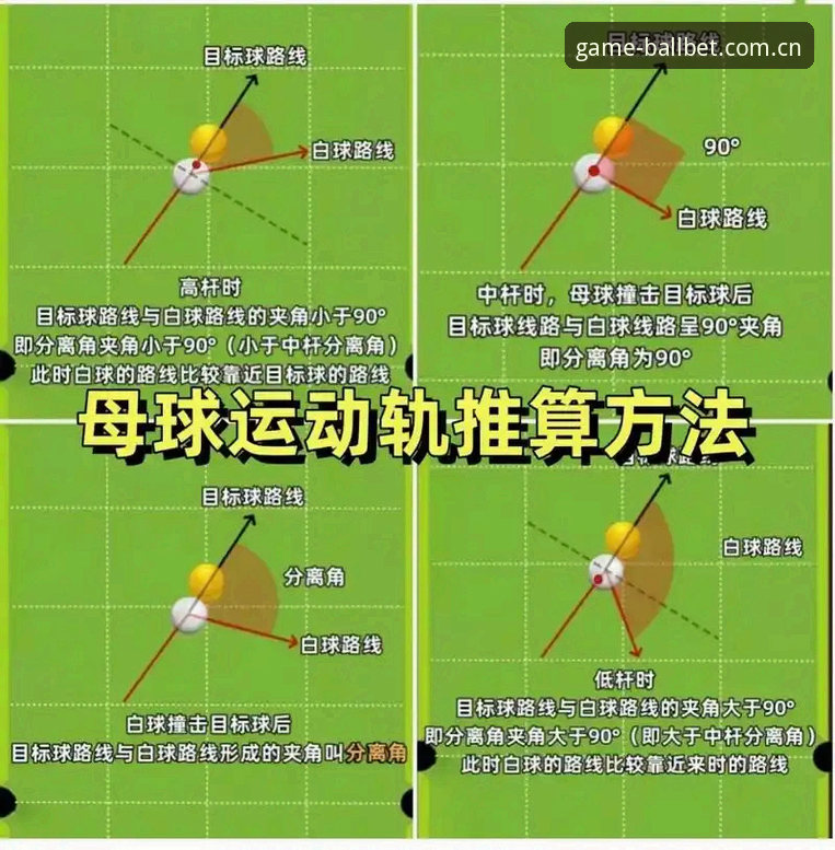揭秘BallBet新手教程：从注册到首投的完整操作指南